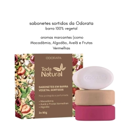 Presente Edição Especial Masculino 